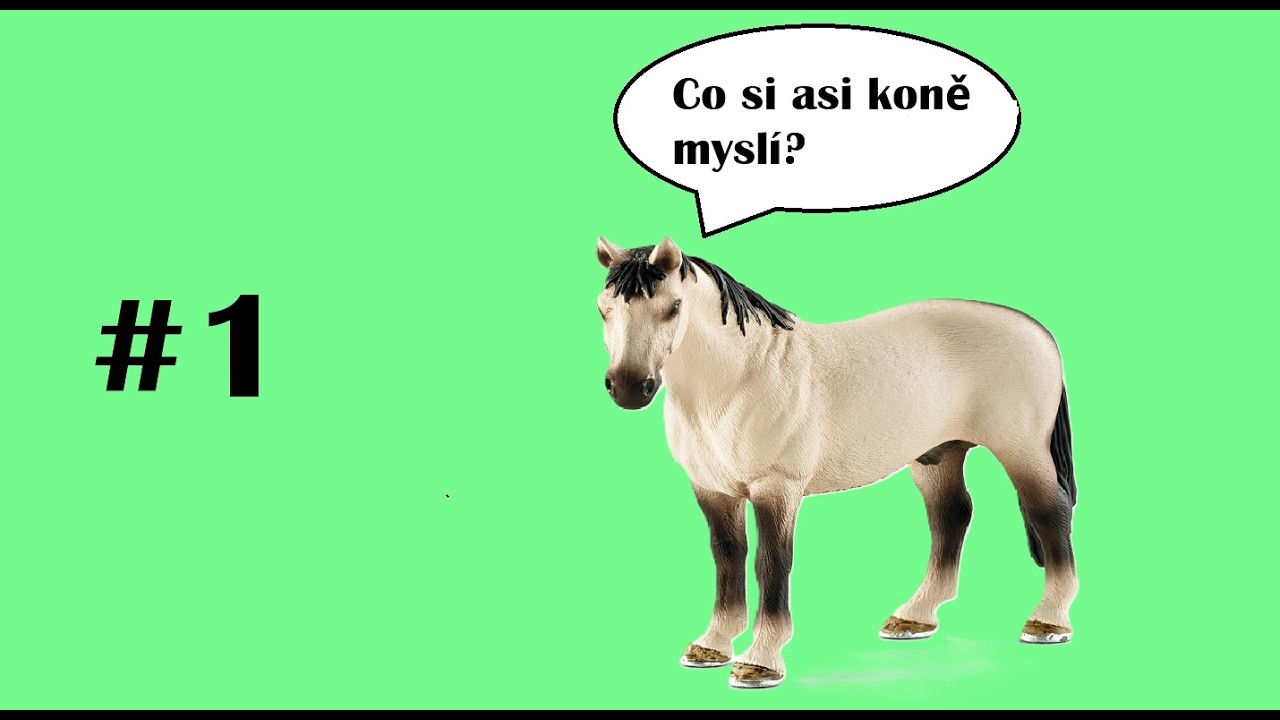 Speciál za 40 odběratelů - Co si asi koně myslí?