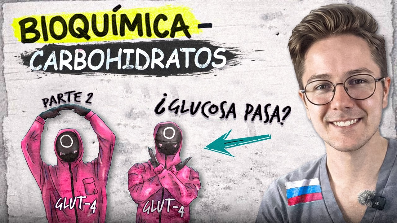Metabolismo de los CARBOHIDRATOS | Absorción intestinal | GLUT e INSULINA (es CLAVE para el EXAMEN)
