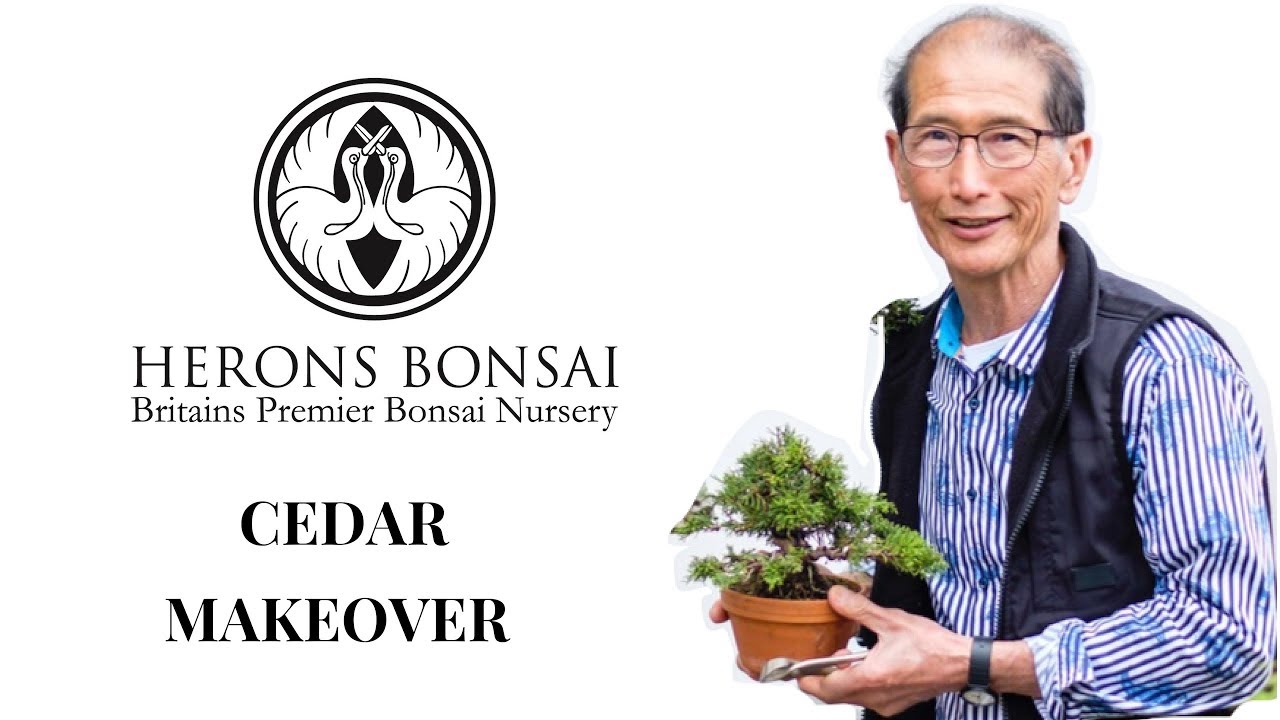 Cedar Makeover