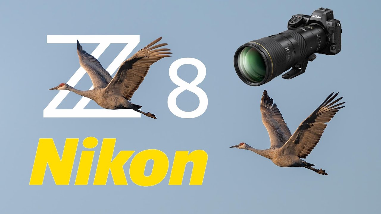 Nikon Z8 Журавли в полете 600mm 6.3 VR S PF