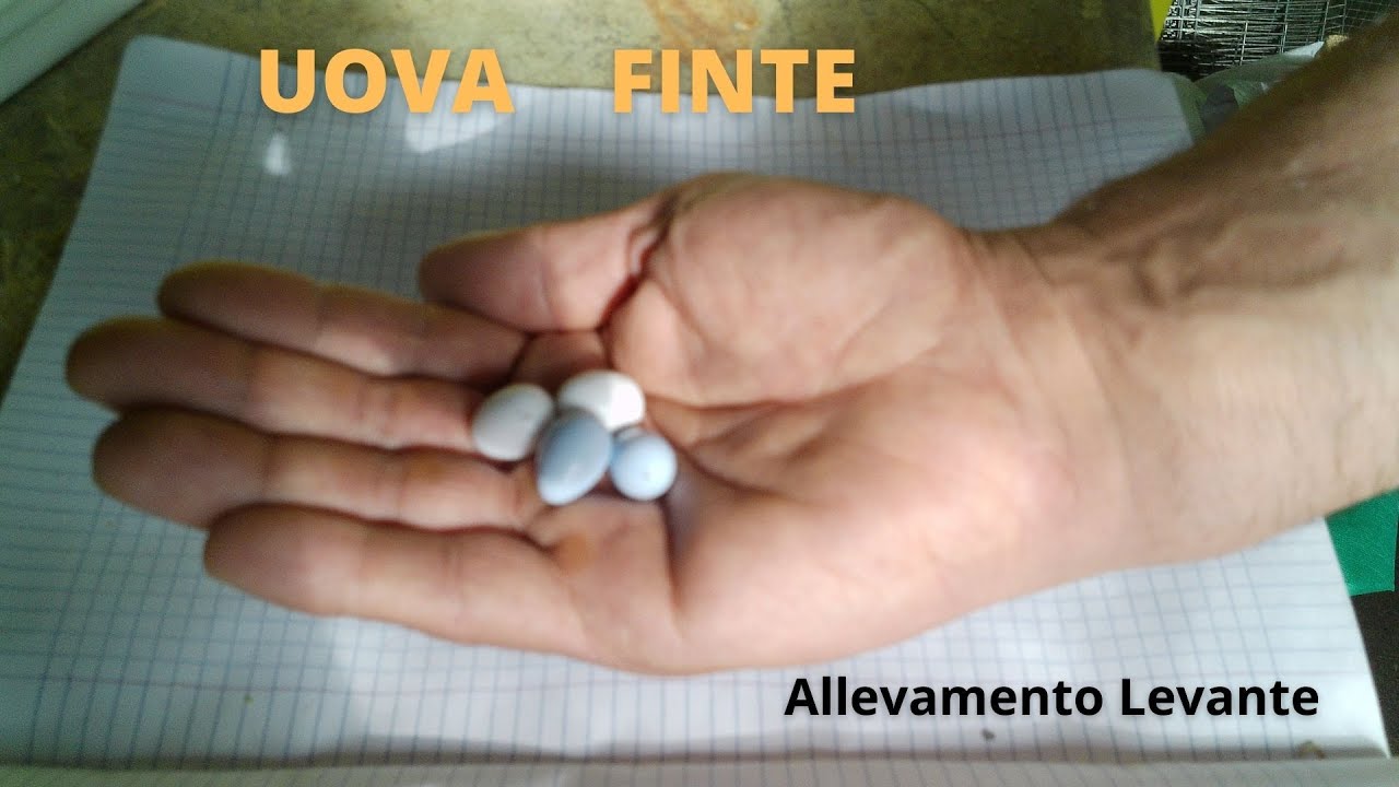 uova finte
