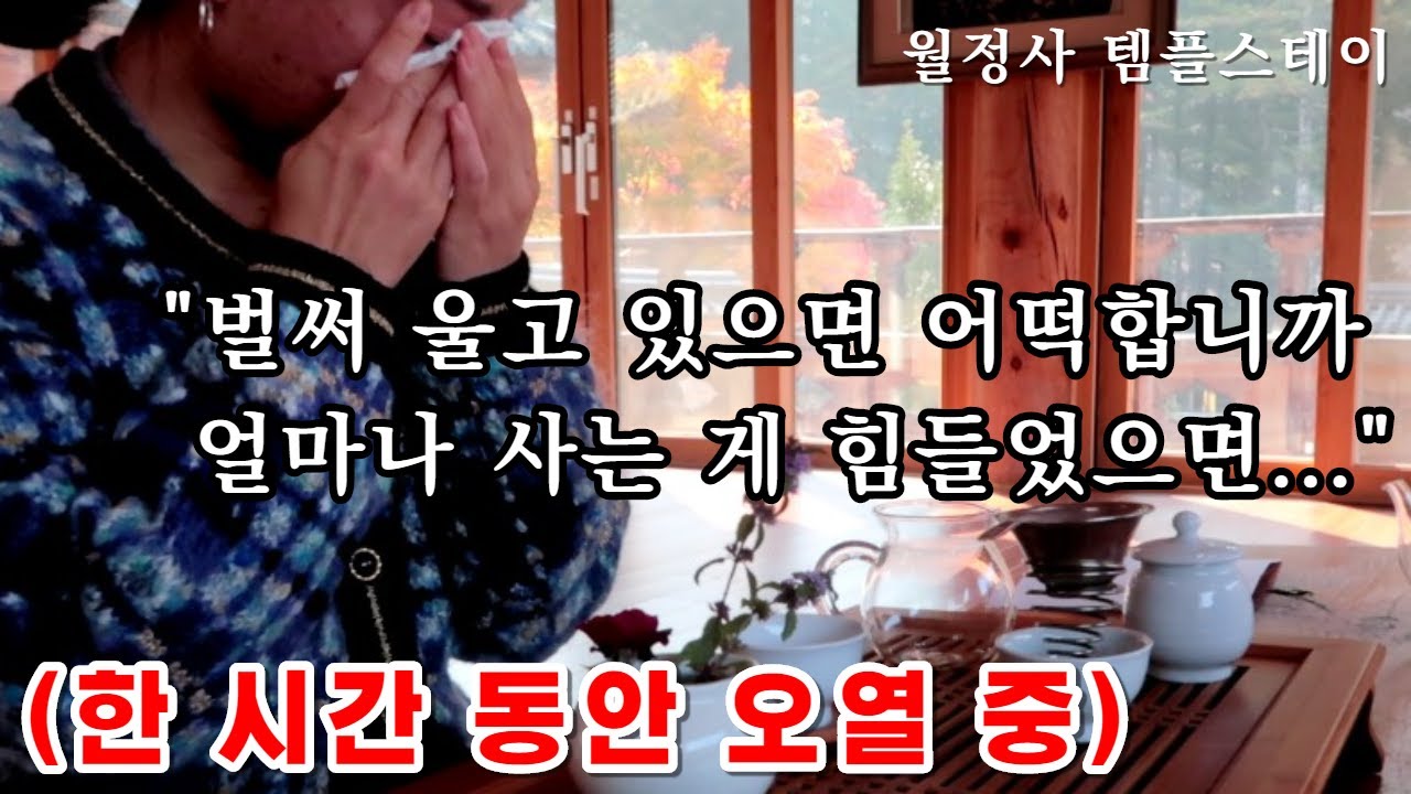 오열하다 끝나버린 스님과 나눈 이야기 ｜강원도 월정사 템플스테이