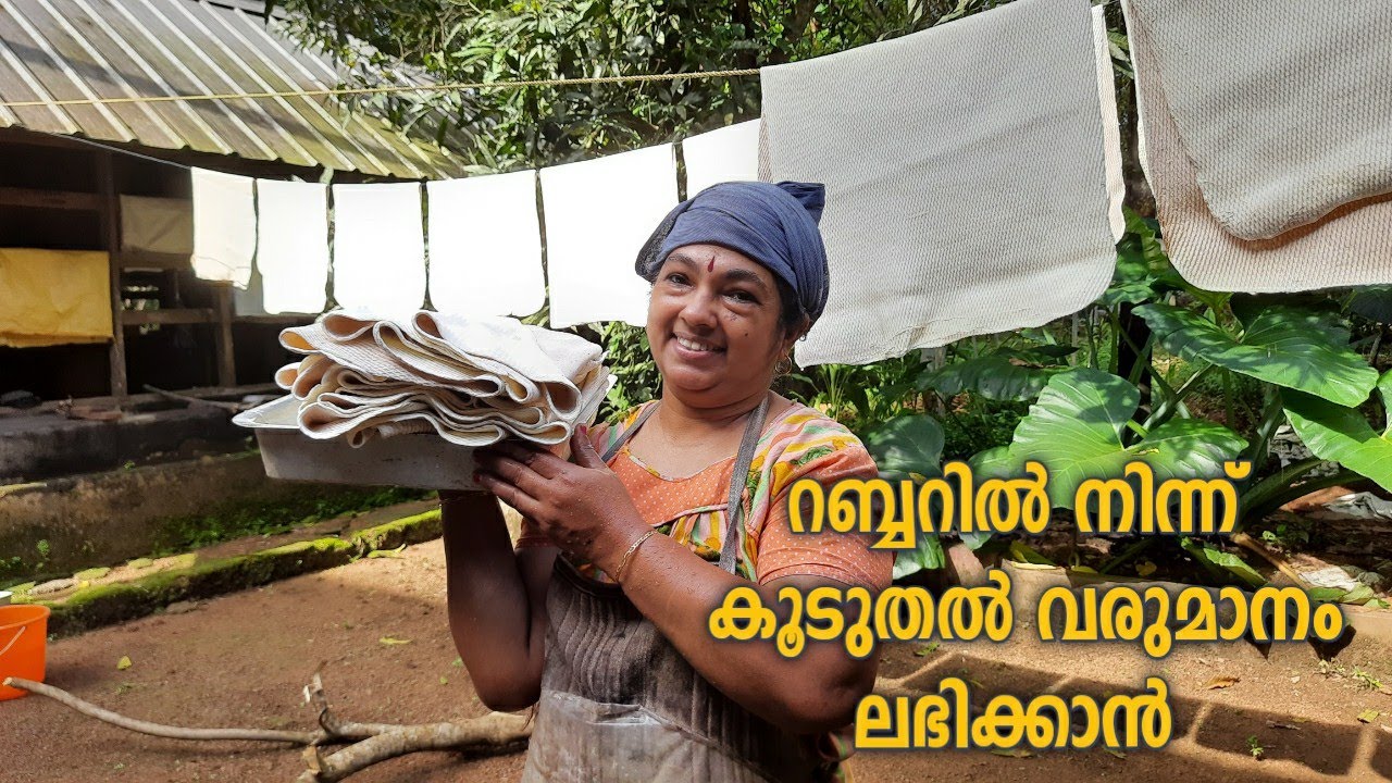 Fertilyse Rubber Trees/റബ്ബറിന് രാസവള പ്രയോഗം /chemical fertilizers for more Rubber Latex