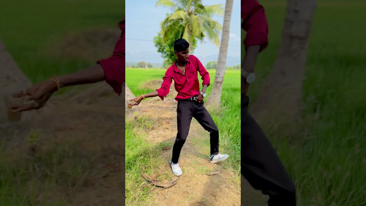 Pushpa 2 chaistep 😍 #chaistep