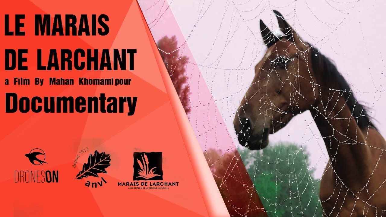 Le Marais de Larchant - Full Documentary - Directed by Mahan Khomamipour