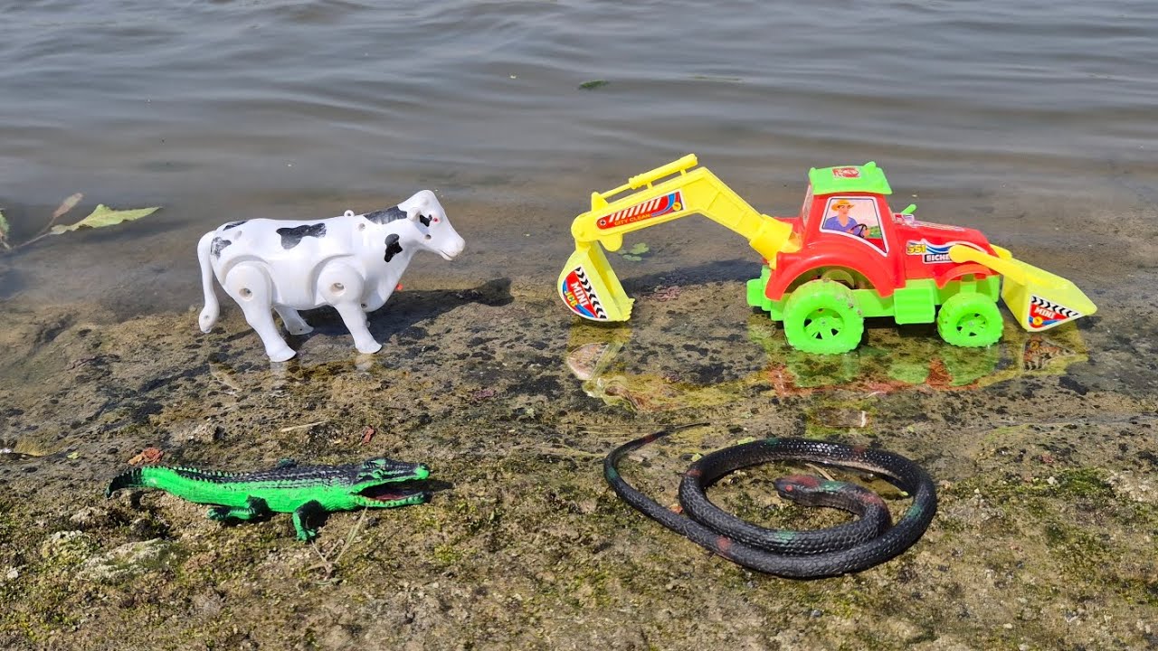 मगरमच्छ 🐊 ने किया गाय 🐄 पे हमला 😱