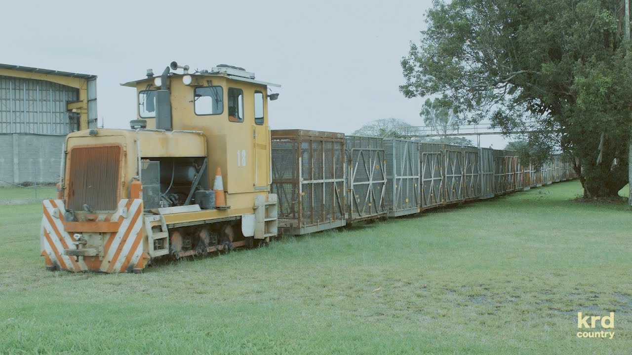 Sugar Cane Trains Australia: The Line to Mourilyan