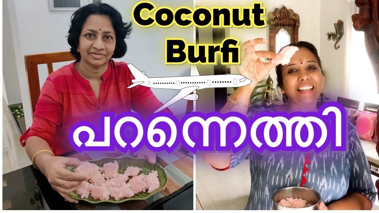 Coconut Burfi പറന്നെത്തി // Anuamayi Spl