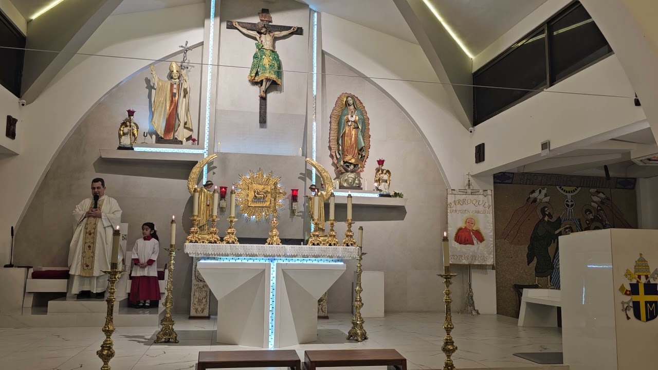 Santa Misa 12 de febrero de 2026