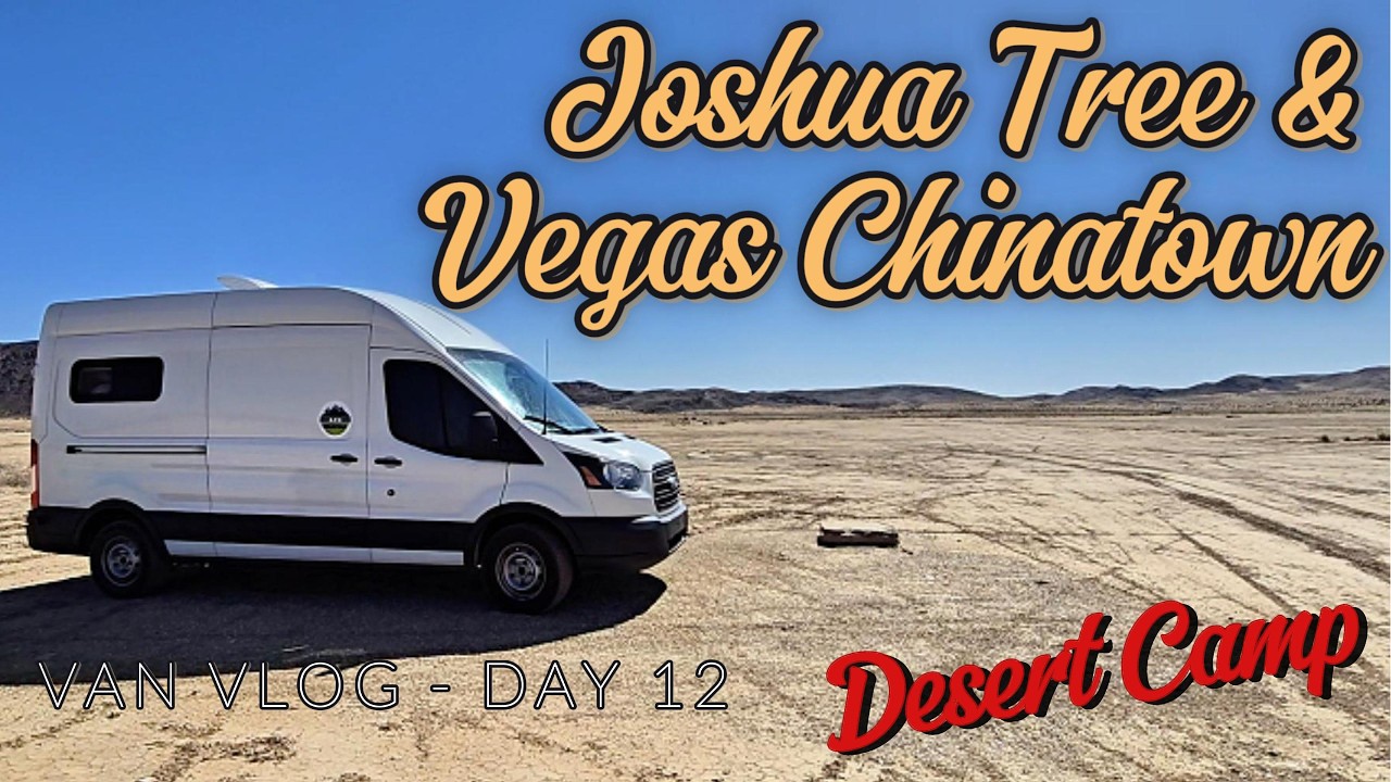 Desert Camping & Joshua Tree Exploration! 🌵 | Van Life Day 12