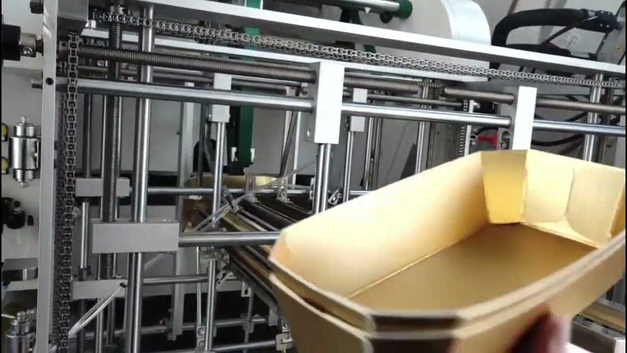 Fruit Paper Box Burger Box Making Machine