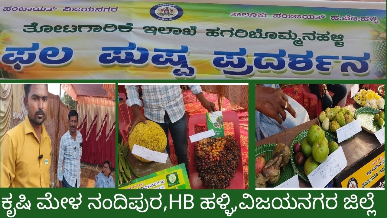 ಕೃಷಿ ಮೇಳ ನಂದಿಪುರ/ಫಲ ಪುಷ್ಪ ಪ್ರದರ್ಶನ/ವಿಜಯನಗರ ಜಿಲ್ಲೆ,HB ಹಳ್ಳಿ ತಾಲೂಕ 