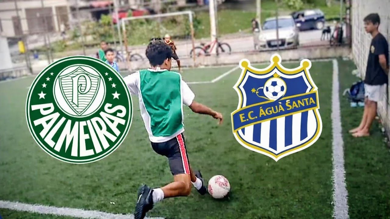 Campeonato Paulista Palmeiras vs água Santa #futebol 