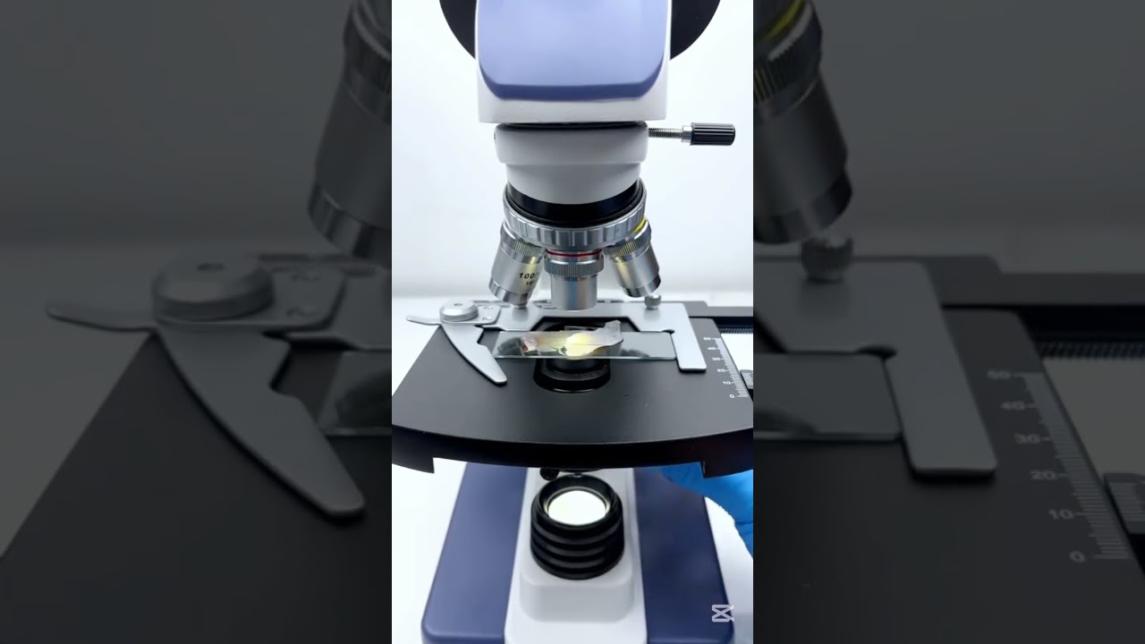 #microworldtv #microscope #unexpectedthings #creepy