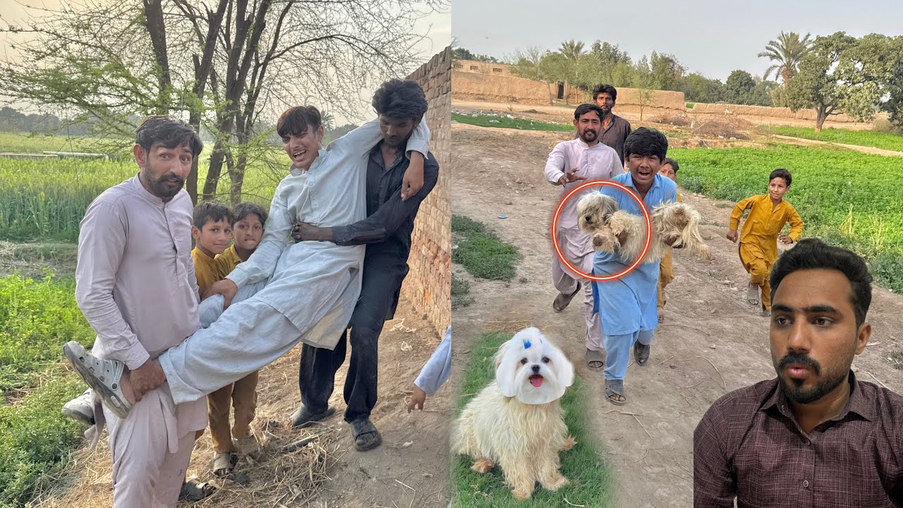 Dog 🐕 Ke Malik A Gaye Aur Talha  Bhai Ko Lekar Chale Gaye 😭
