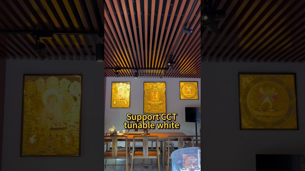 Framing Projector vs. Regular Track Light: What&rsquo;s the Best Choice for Precision Lighting?