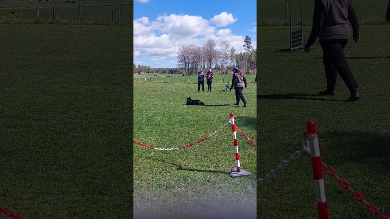 Tay lydnad klass 1. 2025 05 11