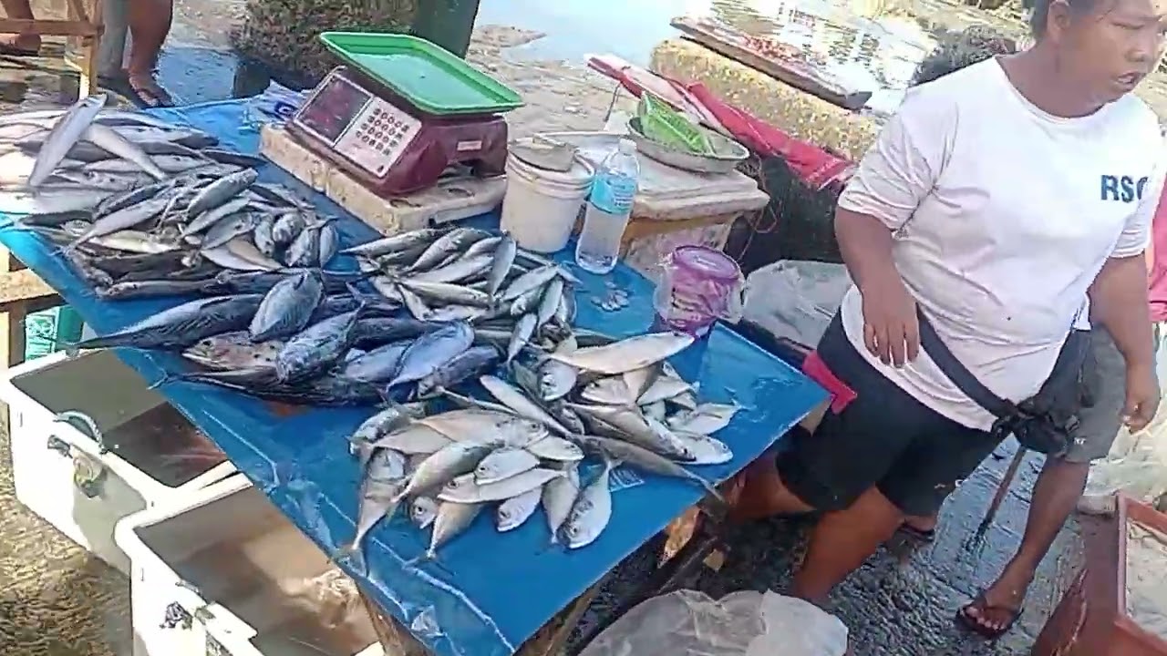 Punta nman Tau sa pier Ng catbalogan samar...