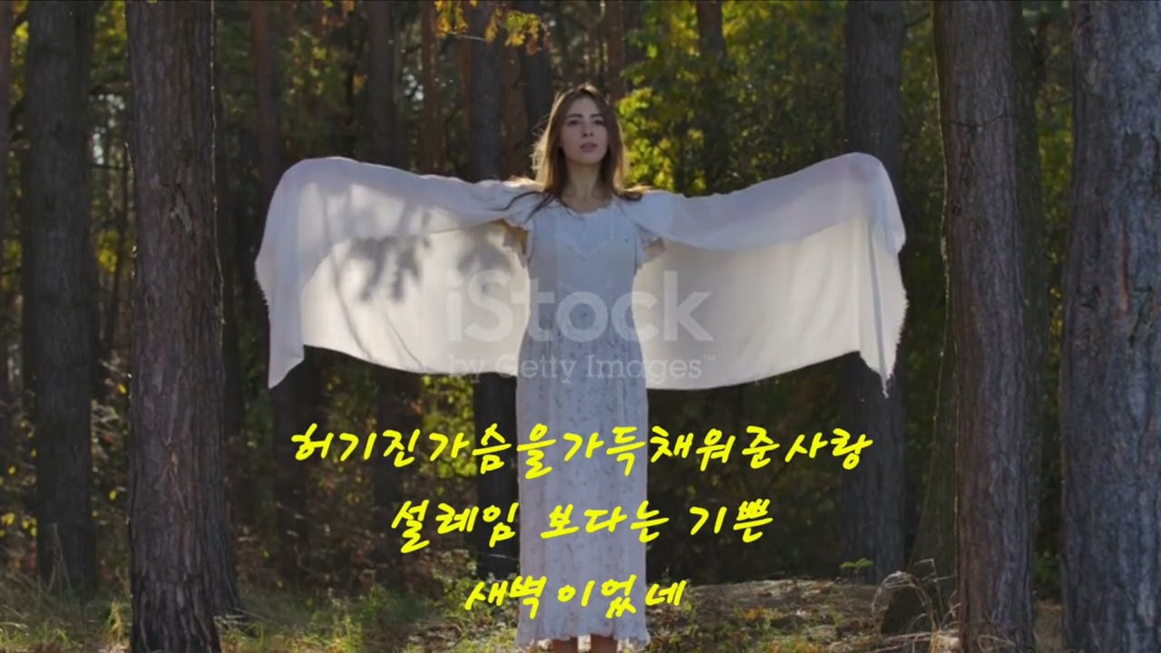 어젯밤 꿈속에  / 작사 ㆍ 곡 영상제작 #松雲 권회덕 #곰천사 #시노래 #시인작가 #찬양시노래 