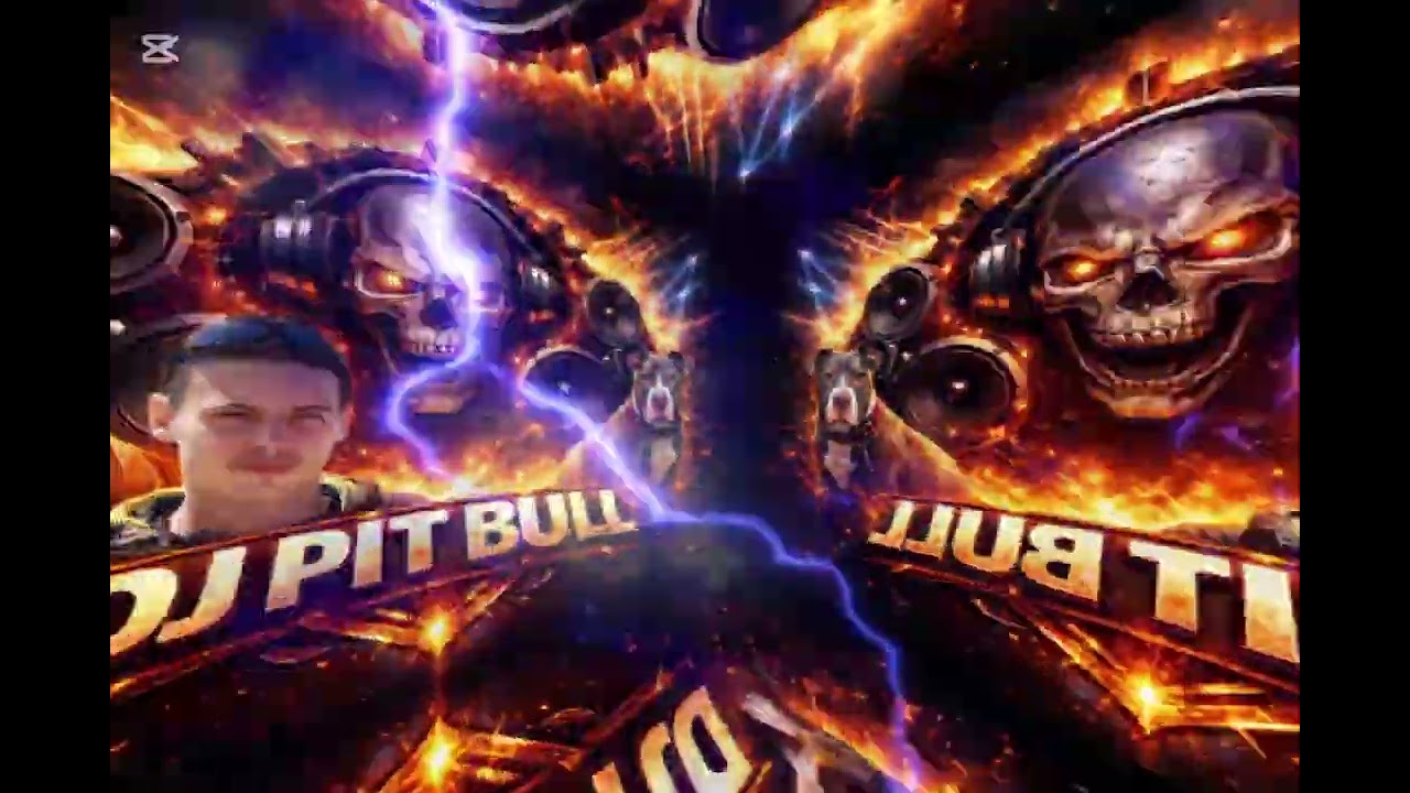 Dj pit bull