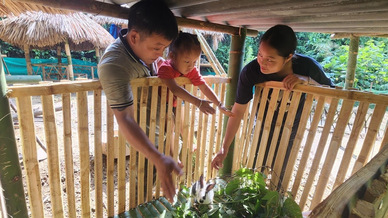 Unexpected change from ex-husband. Rabbit cage completed || Bảo Ngọc