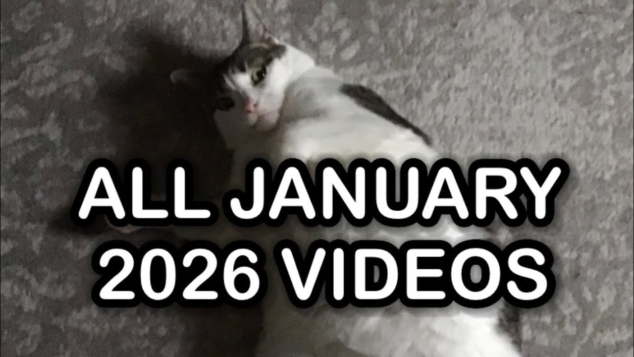 ALL JANUARY 2026 DAILYDOSEOFLUNA VIDEOS!