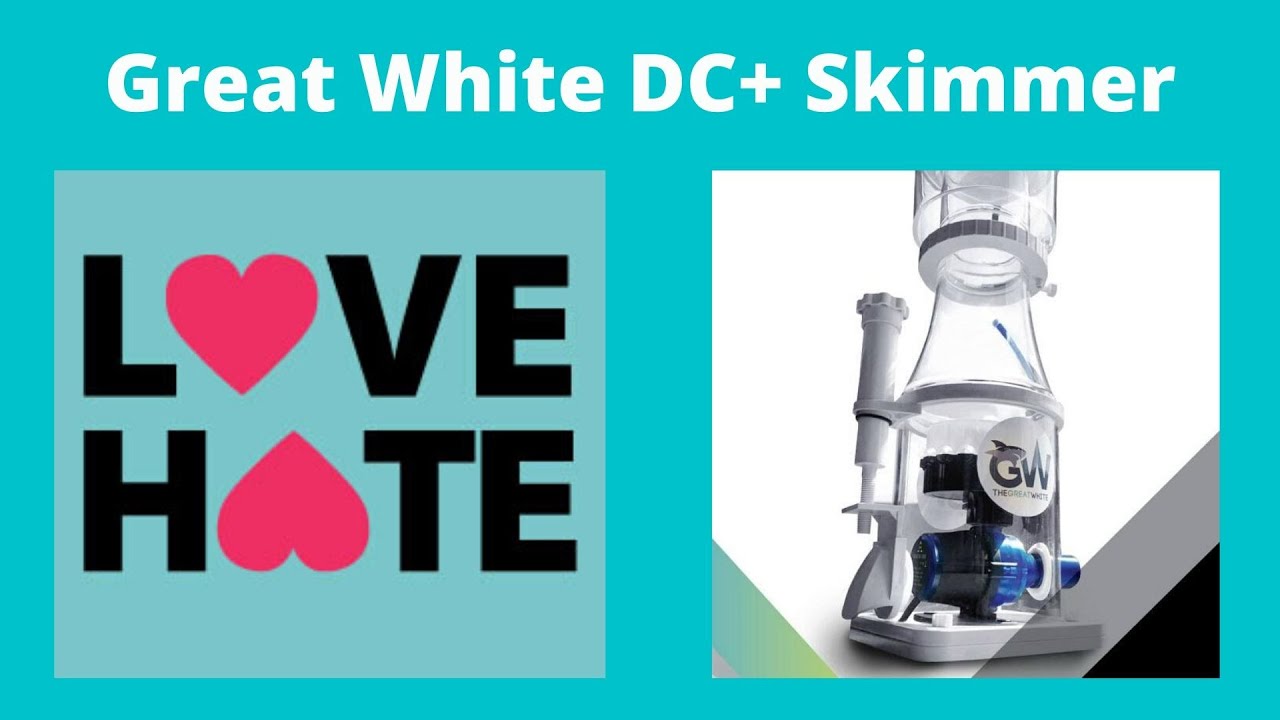 What I Love (and hate) about the Great White GW7+ Skimmer - Honest Review