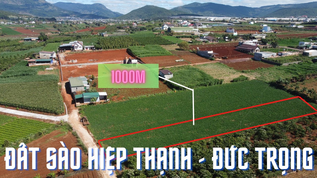 (Đã bán)Đất sào Đức Trọng, bán 1000m đất Hiệp Thạnh - Đức Trọng - Lâm Đồng