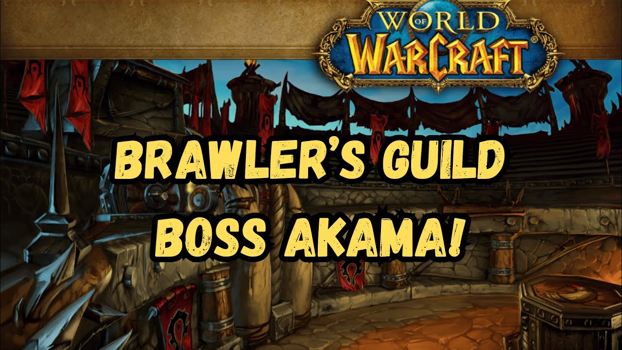 Akama Brawler&rsquo;s Guild Guide &ndash; Interrupt Chain Lightning