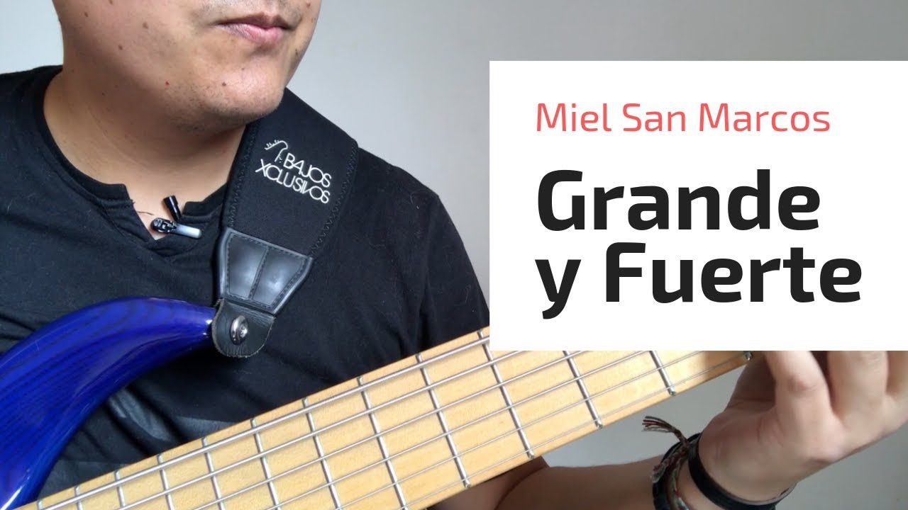 Tutorial de BAJO I GRANDE Y FUERTE I Miel San Marcos