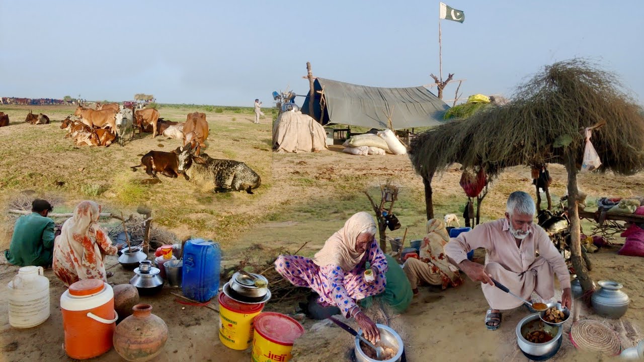 Authentic Pakistani village cooking | women morning routine village life Pakistan | traditional food