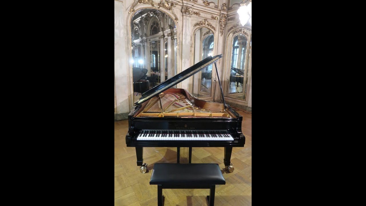 IES Vienna - Music Performance Workshop Concert - Fall 2021