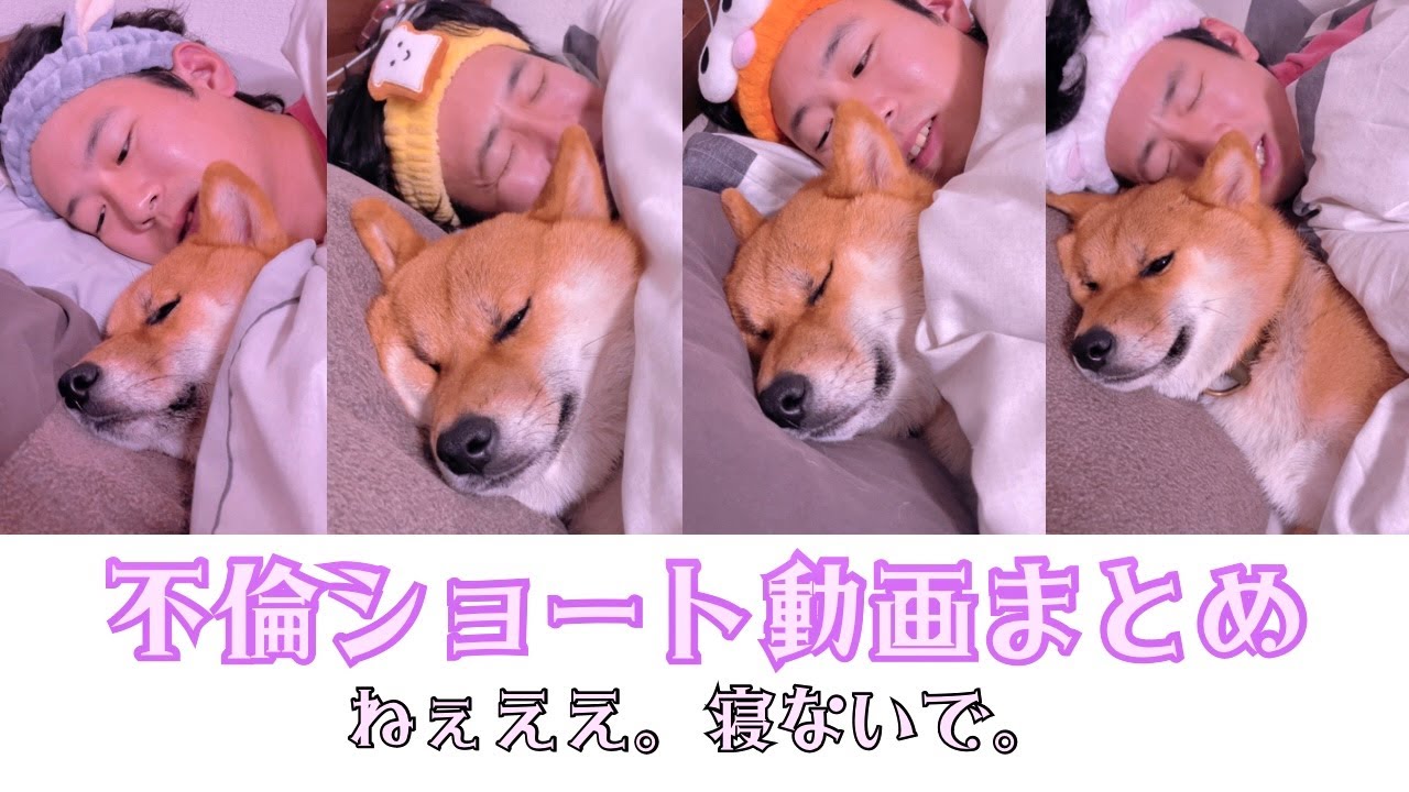 【犬とコント】一気見！SNSでバズったショート動画まとめ①〜⑦