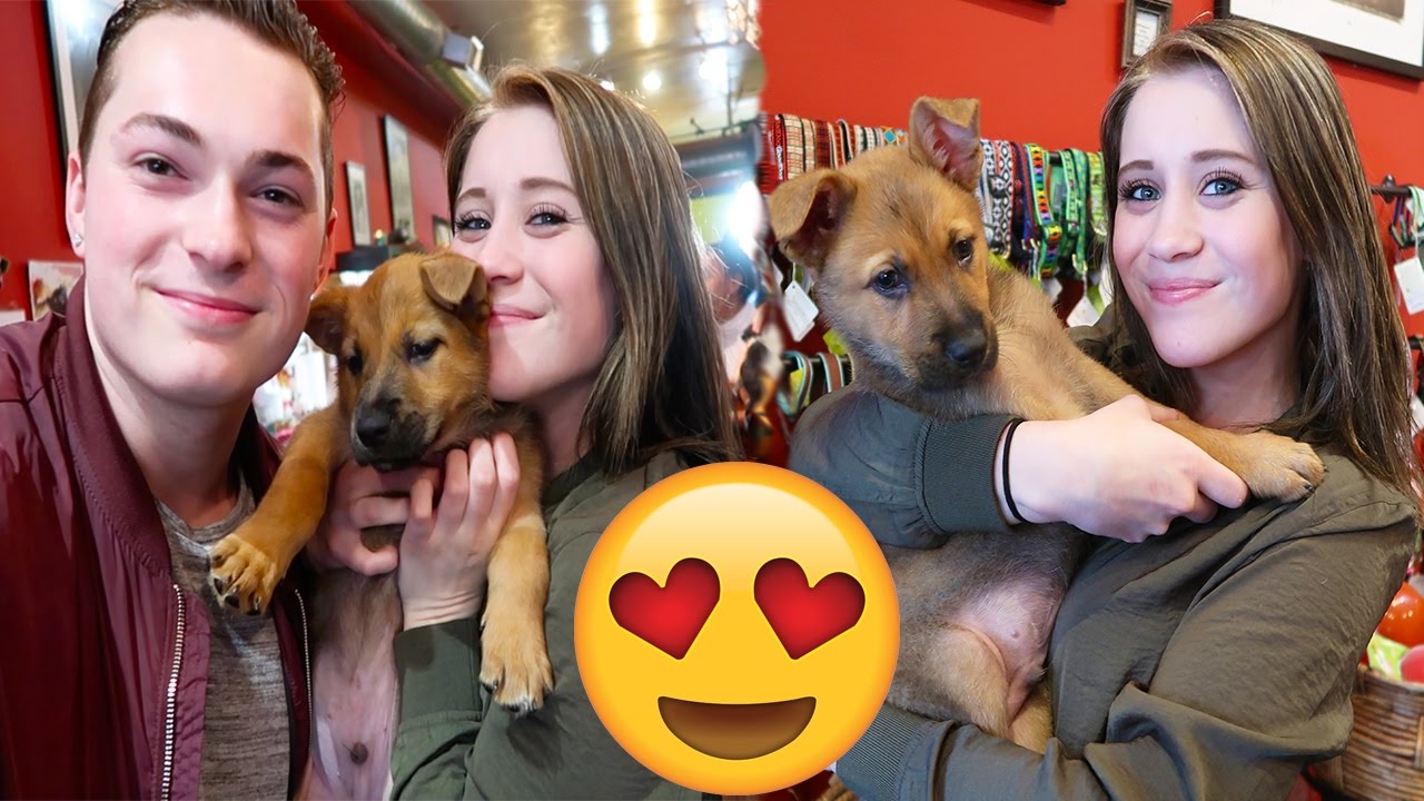 SHOULD WE GET HIM!? (PUPPY)