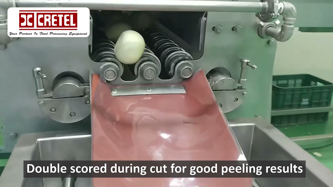 Onion stem & root cutter and peeler machine