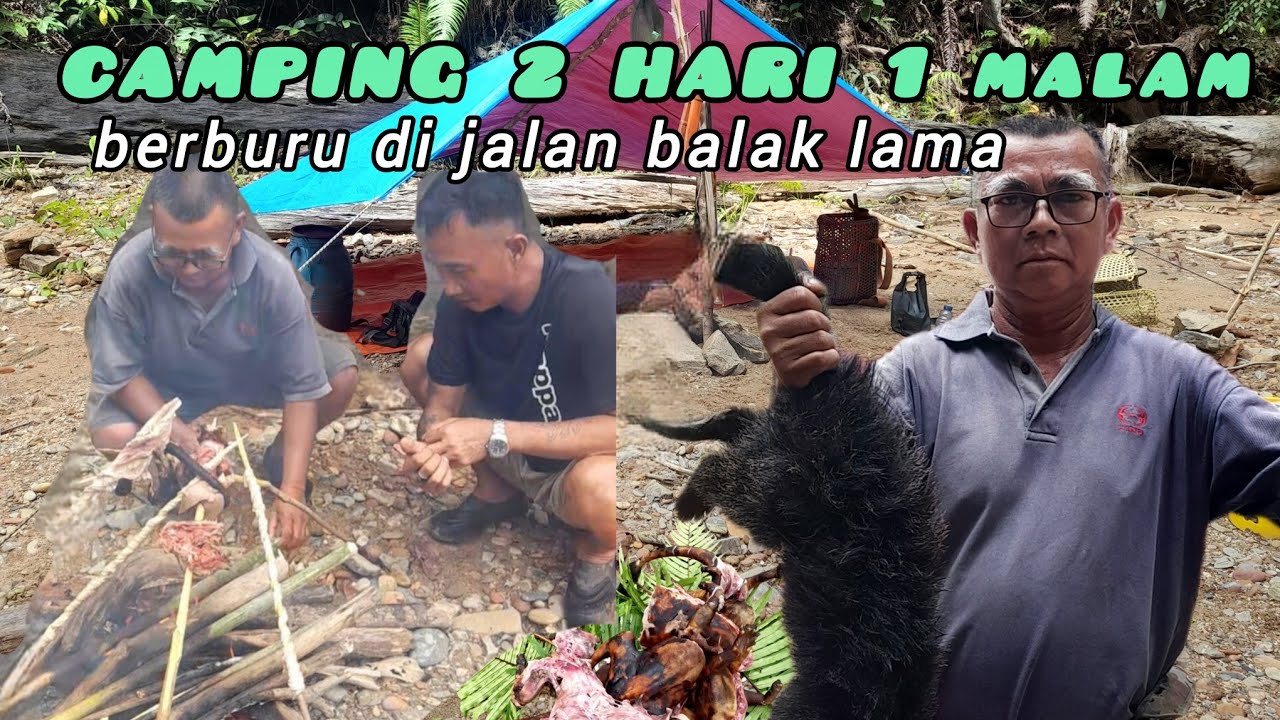 CAMPING DAN BERBURU 2 HARI 1MALAM MENCARI SAYUR SEGAR DI HUTAN KEPULAUAN BORNEO 