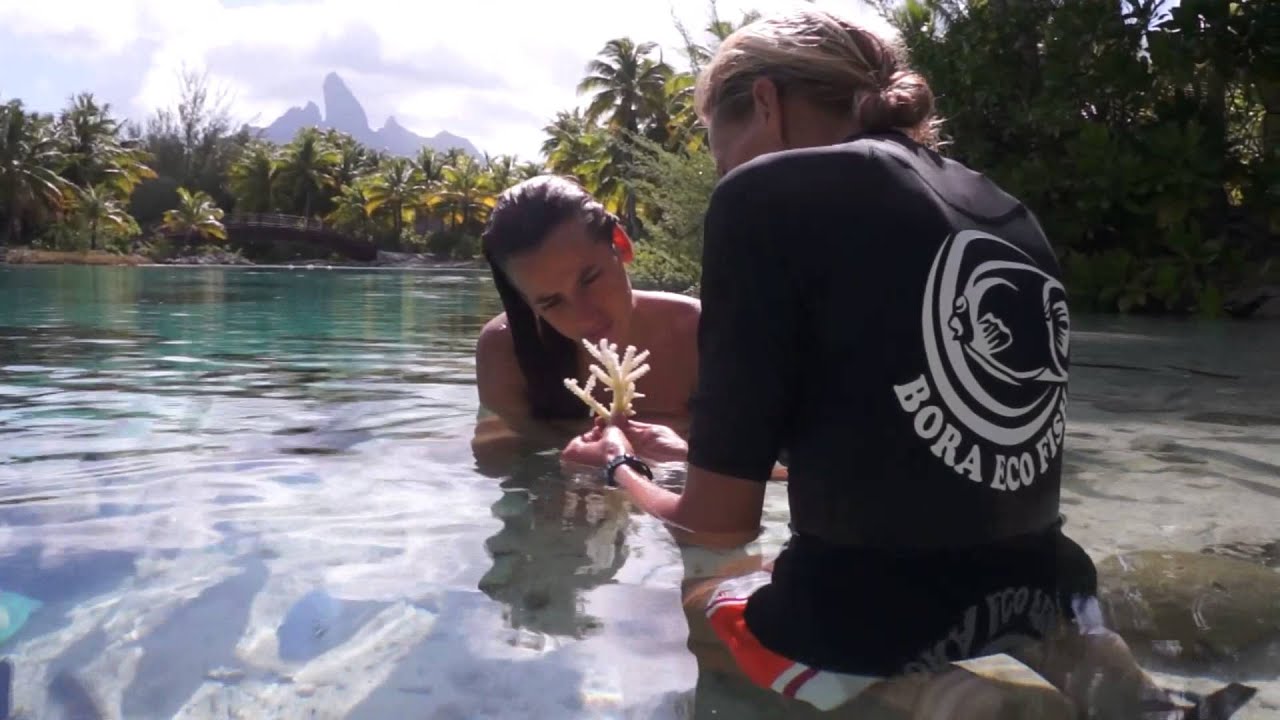 St. Regis Lagoon - V1