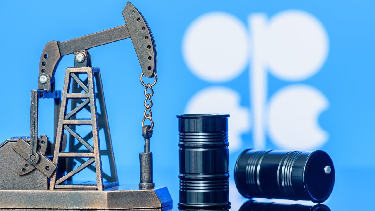 OPEC &lsquo;halts&rsquo; production due to a supply glut