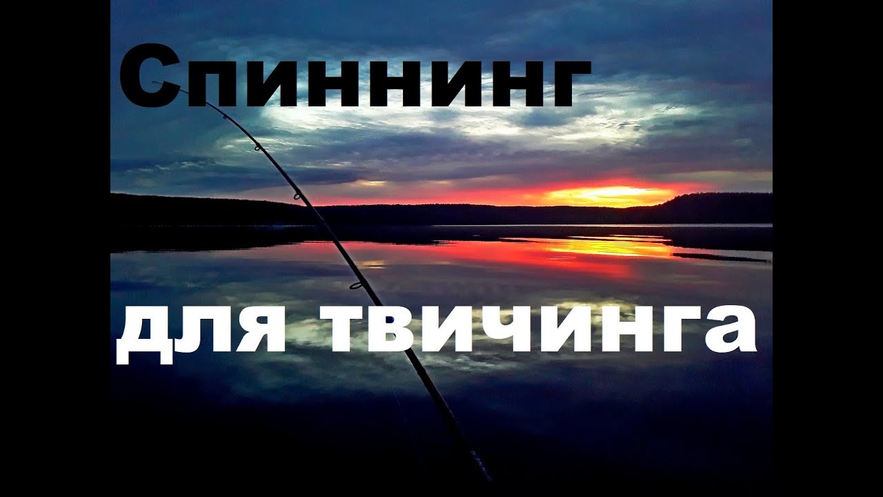 Как купить спиннинг для твичинга  Гад Файер