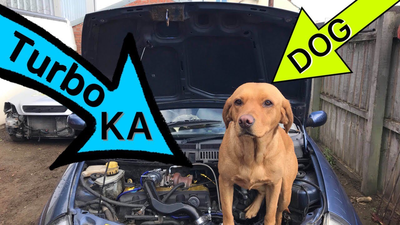Turbo KA - Part 9 DIY TURBO BUILD BHP