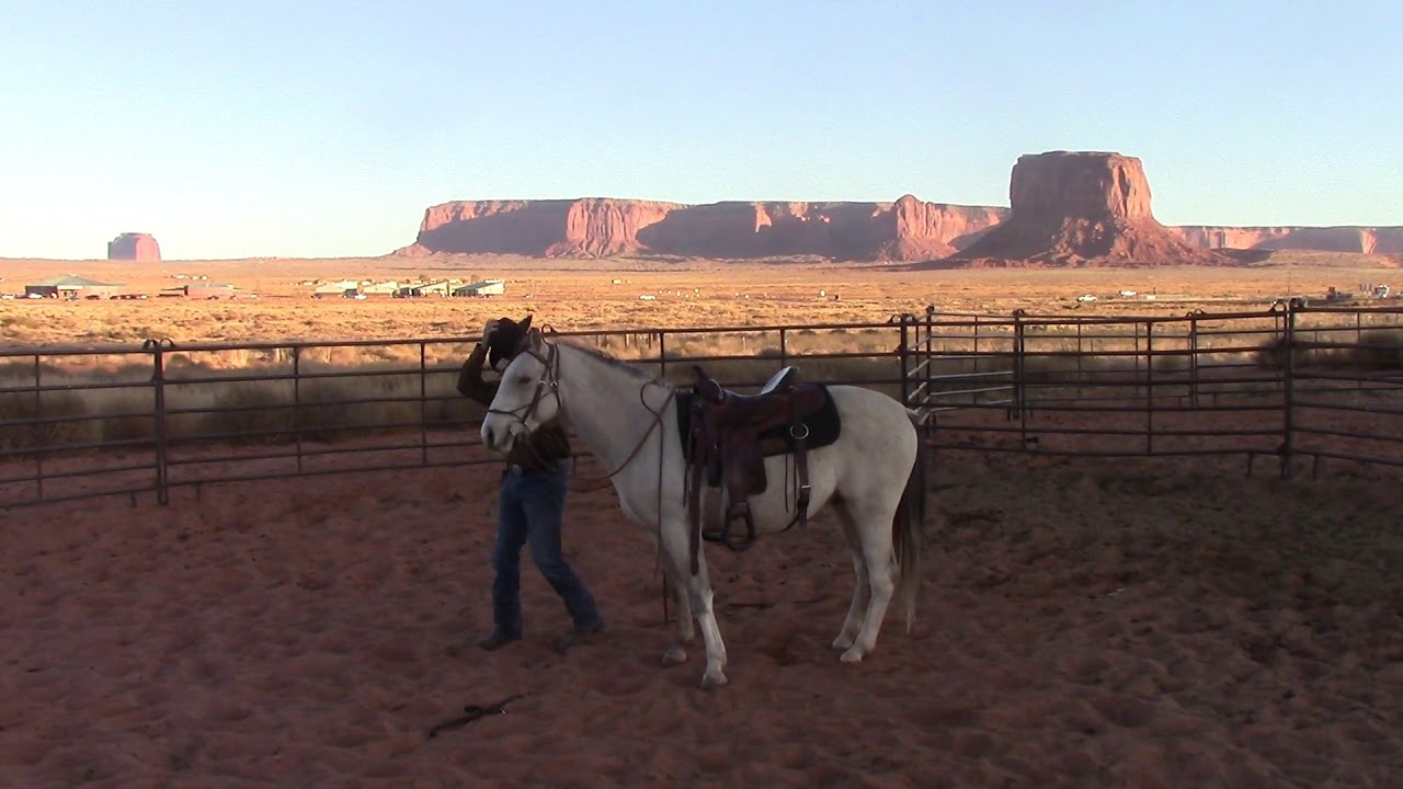 Wild Mustang Training Silver Day 31 First Ride