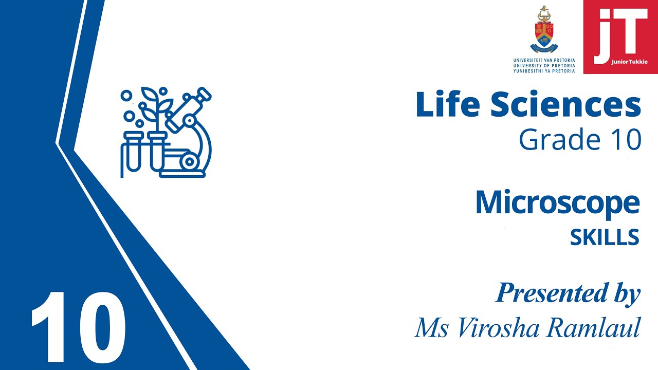 4. Gr 10 - Life Sciences - Skills - The Microscope