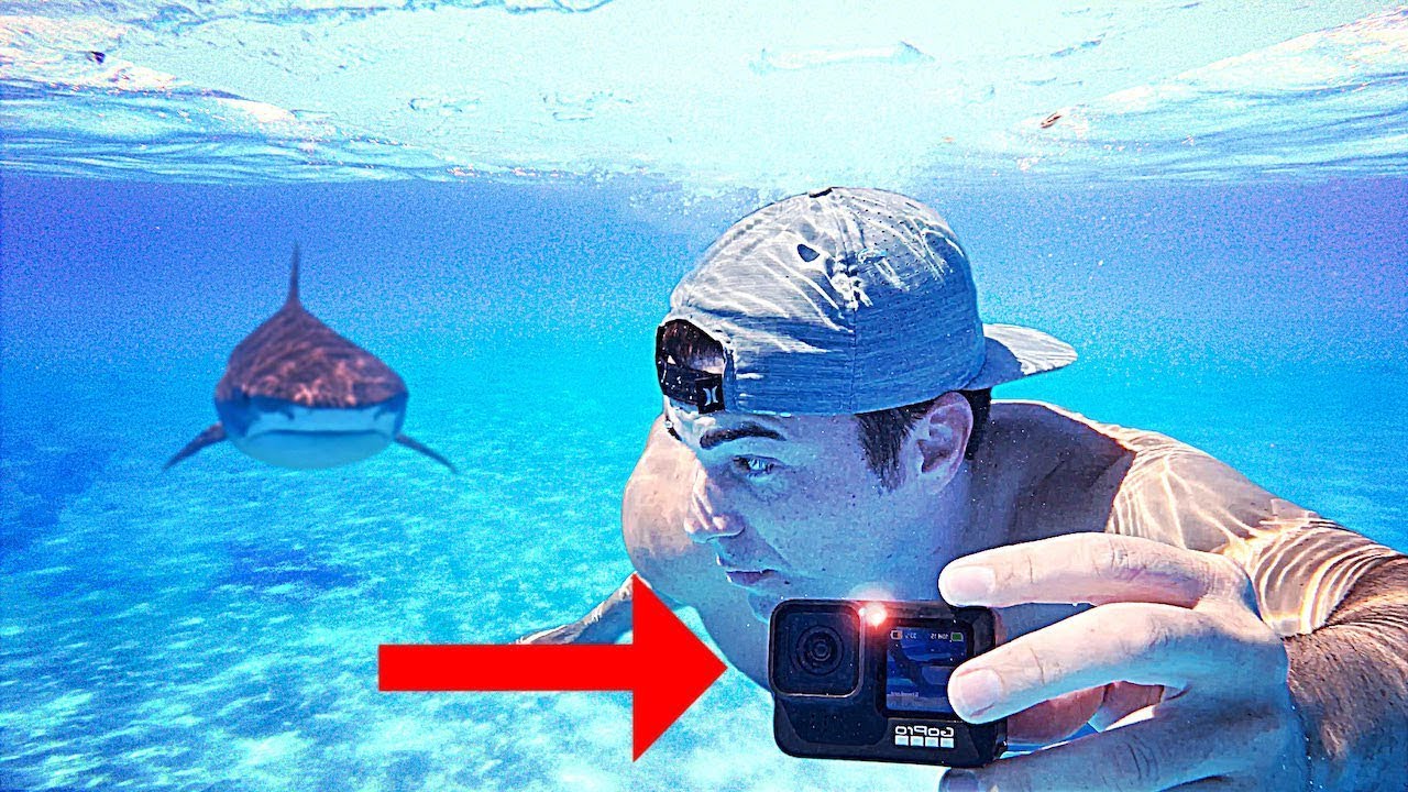 Tiburones vs GoPro