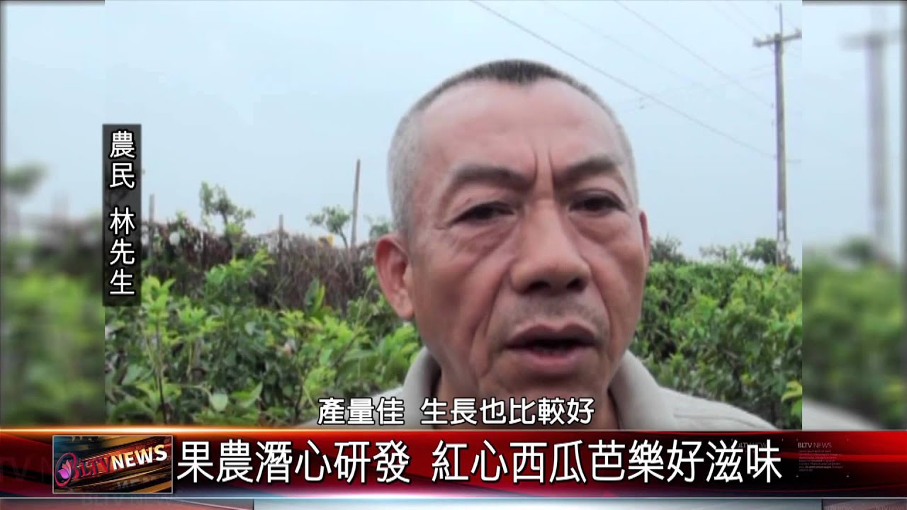 20150915 果農潛心研發 紅心西瓜芭樂好滋味