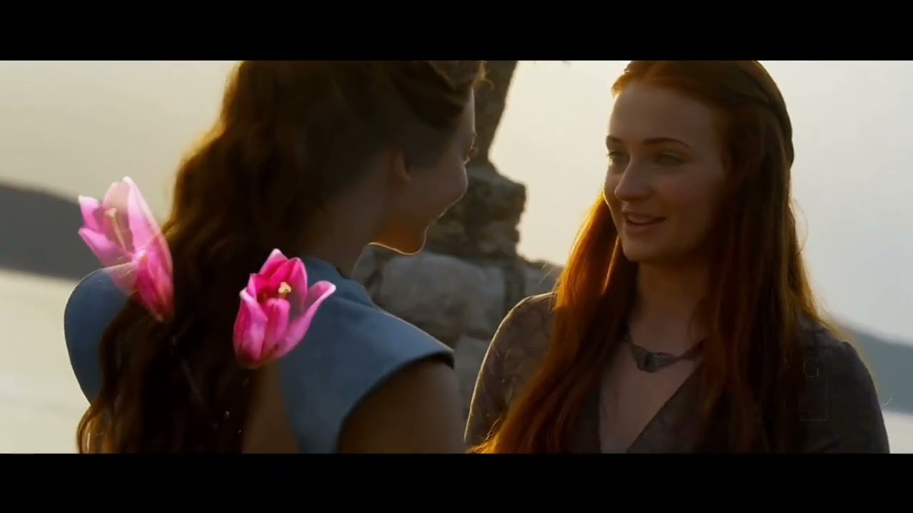 sansaery edit || GOT edit