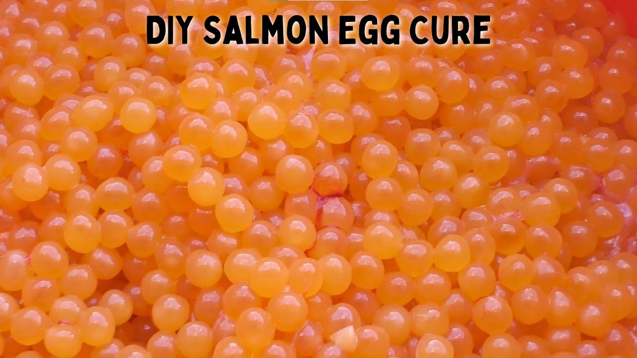 How to Salt Cure Salmon Eggs