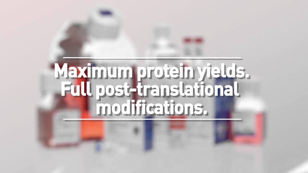 Expi293&trade; Expression System for Structural Biology Applications