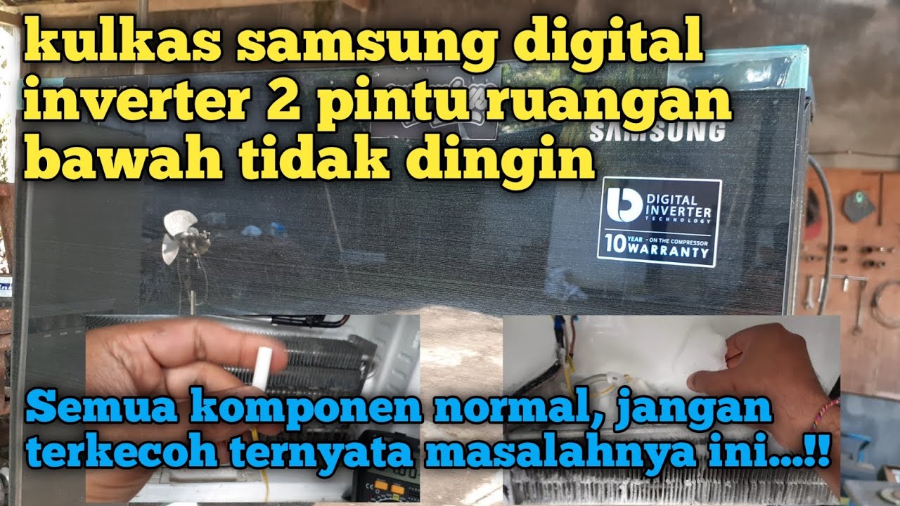 Kulkas samsung 2 pintu digital inverter bawah tidak dingin, simak..!!