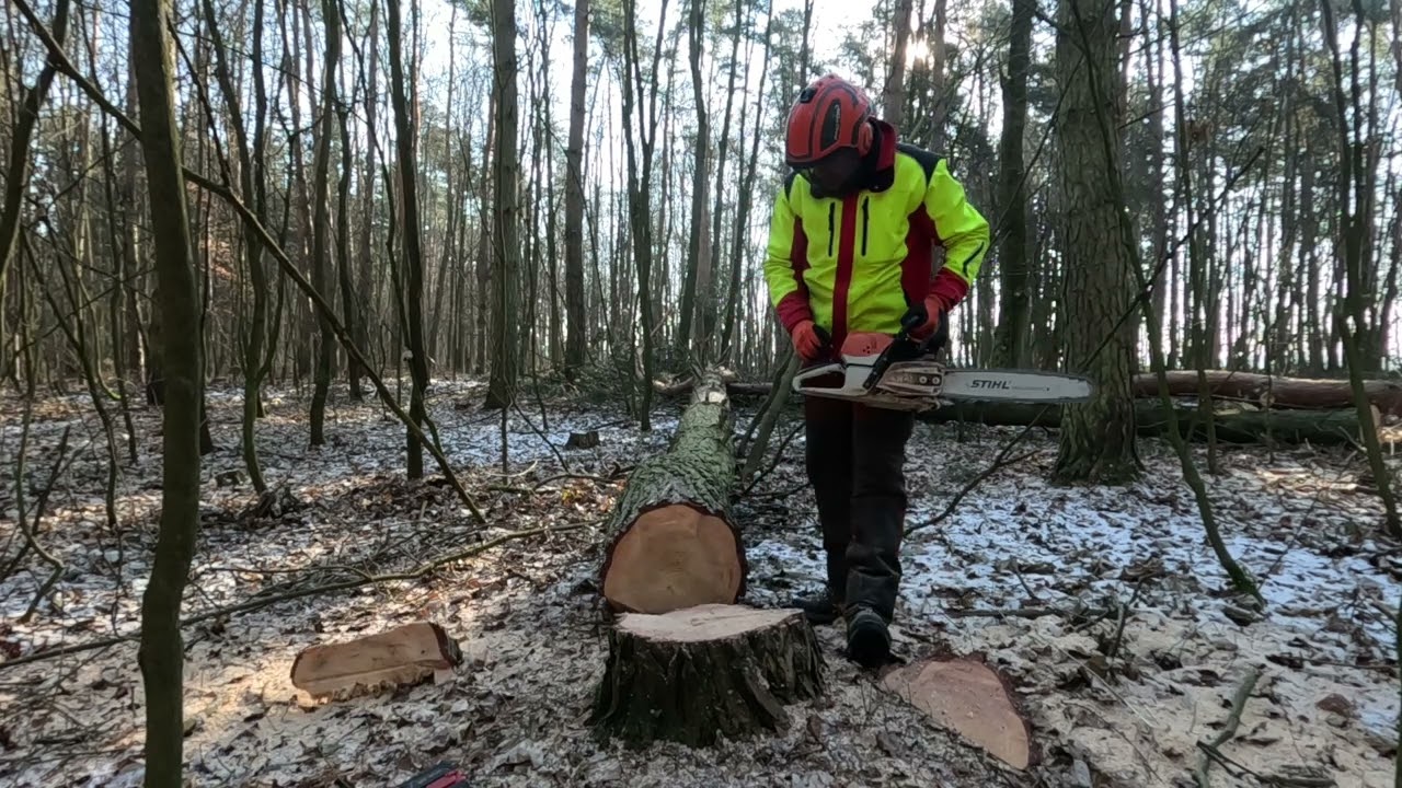 Těžba souší a vývratů, Stihl Ms 462, Zetor 7245, Agama aga 2, JP Forest