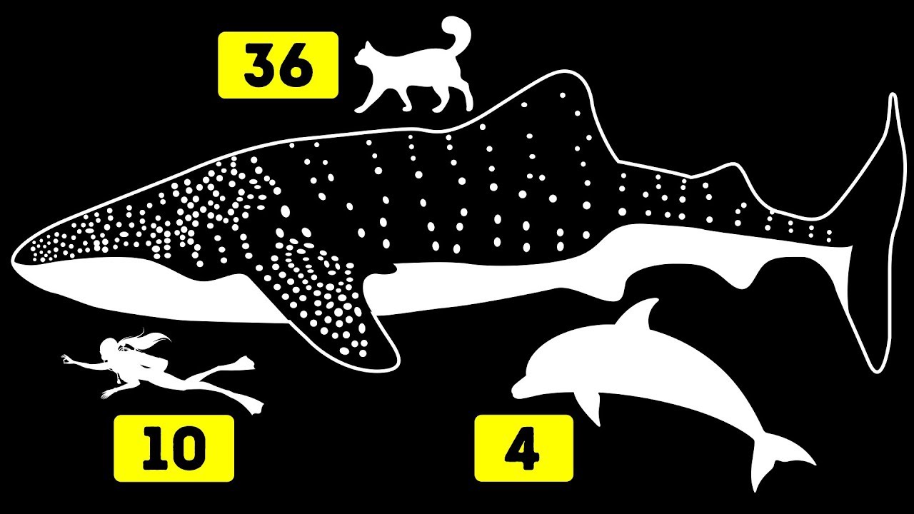 Le 30 Pi&ugrave; Grandi Opere Umane E Naturali A Confronto